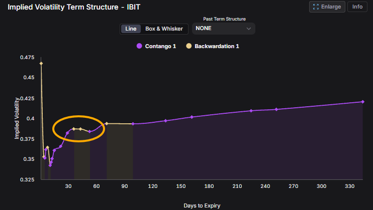 IBITオプションの満期別の予想変動率(IV)のグラフ。選挙を含む11月満期のあたりだけIVが0.387前後までわずかに盛り上がっている